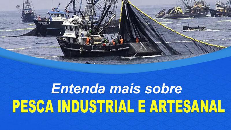 Entenda mais sobre pesca Industrial e Artesanal