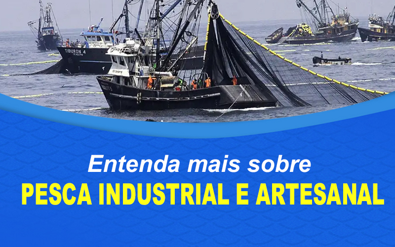 Entenda mais sobre pesca Industrial e Artesanal