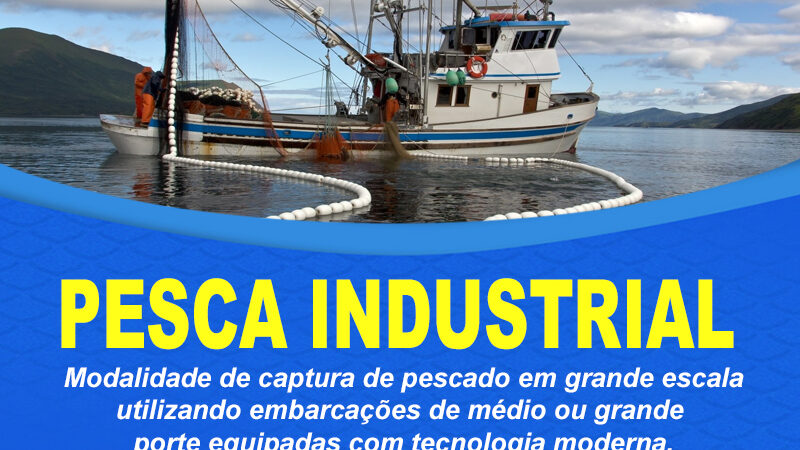 Pesca industrial – Desenvolvimento e cenário atual