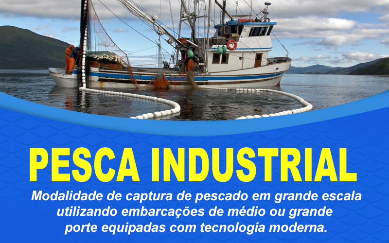Pesca industrial – Desenvolvimento e cenário atual