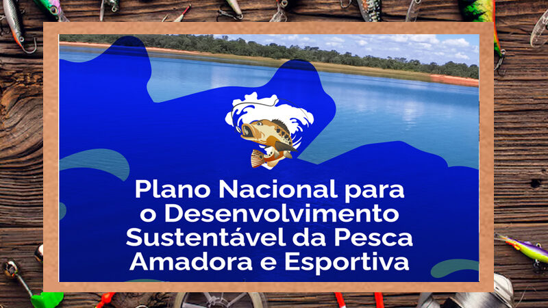 Comitê da Pesca Amadora e Esportiva