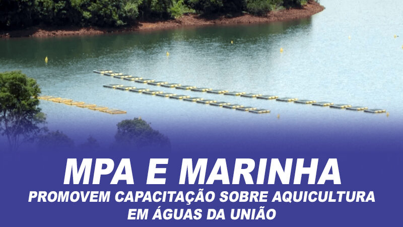 Ministério da Pesca e Aquicultura e Marinha promovem capacitação sobre aquicultura em águas da União