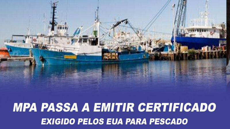 MPA passa a emitir certificado exigido pelos EUA para pescado
