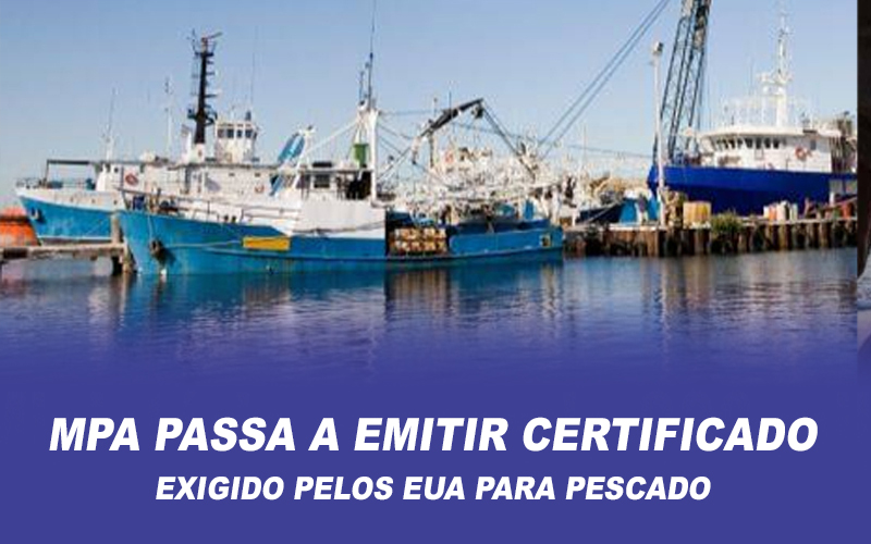 MPA passa a emitir certificado exigido pelos EUA para pescado