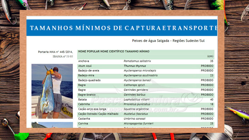 Medidas permitidas de captura de peixes