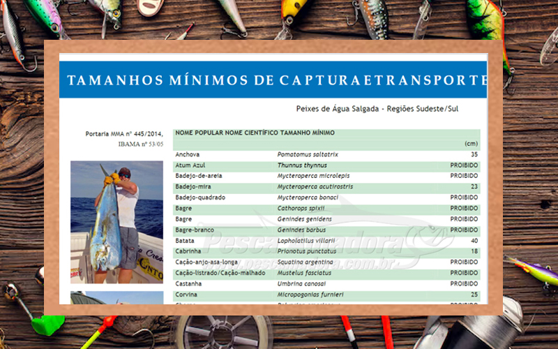Medidas permitidas de captura de peixes