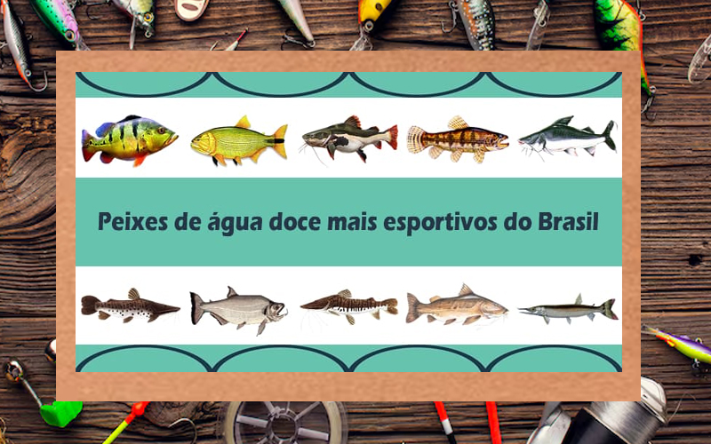 Peixes das Águas Brasileiras – Principais espécies peixes de água doce