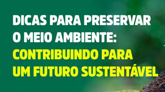 Meio Ambiente – Como você pode ajudar a preservar os recursos naturais e economizar dinheiro