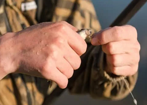 Acessórios para Pesca de robalo