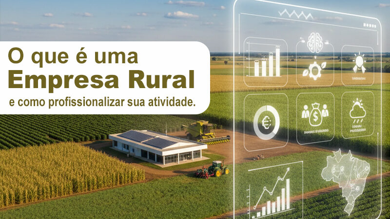 O que é uma empresa rural e como profissionalizar sua atividade