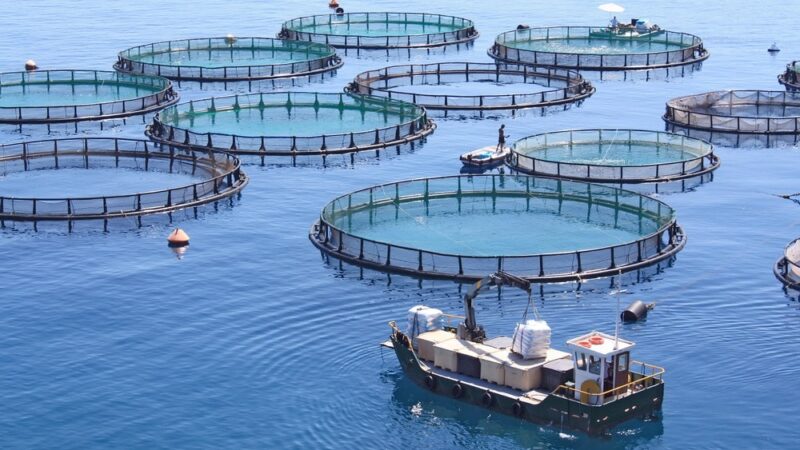 Aquaculture Vietnam