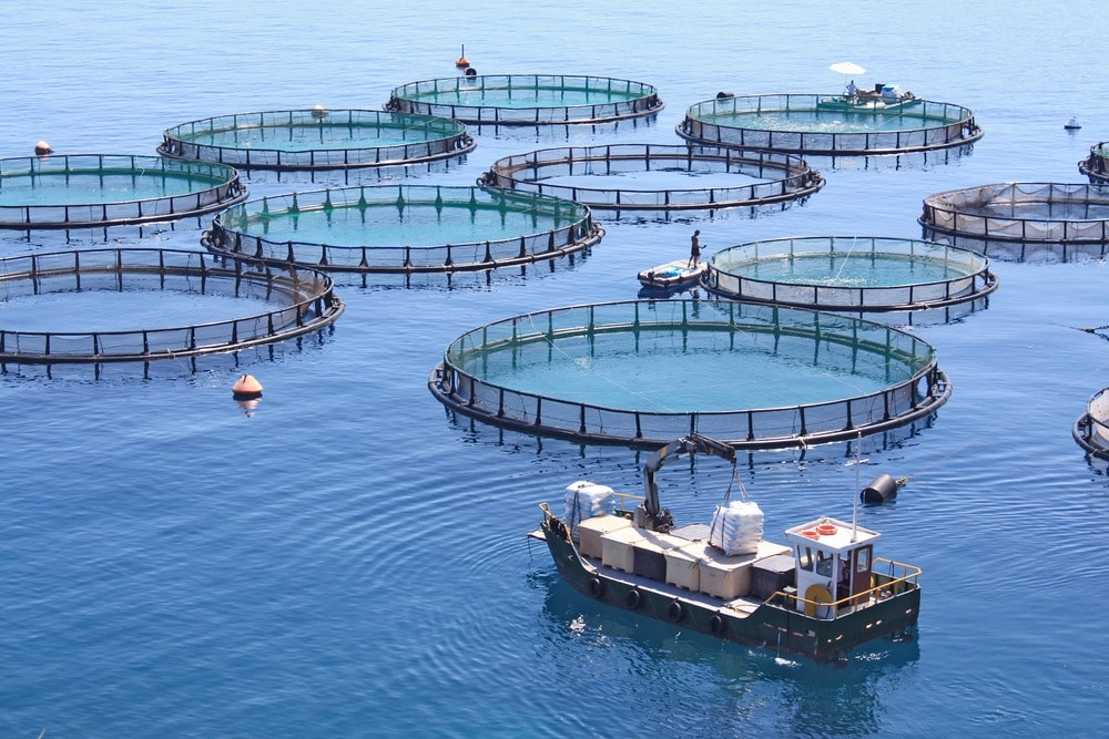 Aquaculture Vietnam