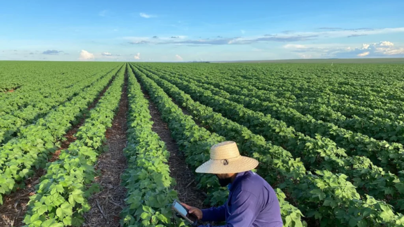 Crédito rural para agricultura familiar capixaba cresce 8% e supera R$ 1,9 bilhão no ano-safra