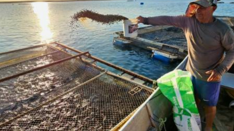 Mensagem presidencial destaca avanços da pesca e da aquicultura na abertura do ano legislativo