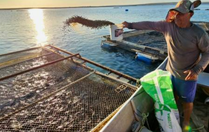 Mensagem presidencial destaca avanços da pesca e da aquicultura na abertura do ano legislativo