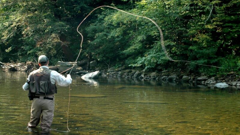 Pesca com Mosca. Saiba como é