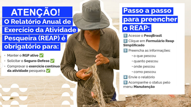 REAP – RELATÓRIO DA ATIVIDADE PESQUEIRA