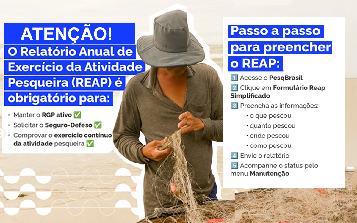 REAP – RELATÓRIO DA ATIVIDADE PESQUEIRA