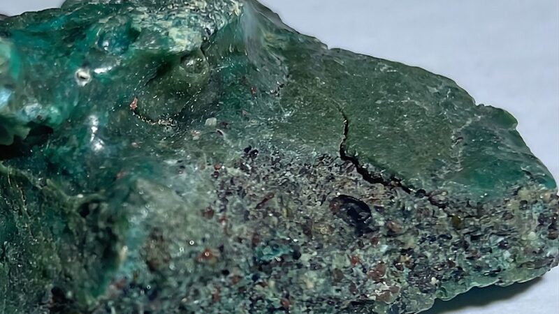 Tartarugas estão associadas ao fenômeno das rochas plásticas em uma das ilhas mais isoladas do Brasil
