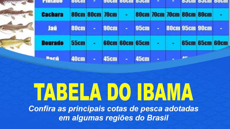 Tabela do IBAMA: Cotas permitidas por região