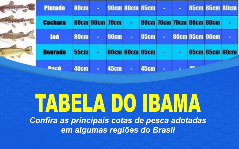 Tabela do IBAMA: Cotas permitidas por região