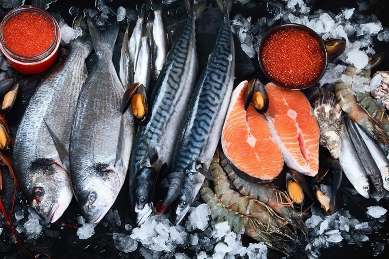 Peixes do mar, quais são? Tudo sobre as espécies de água salgada
