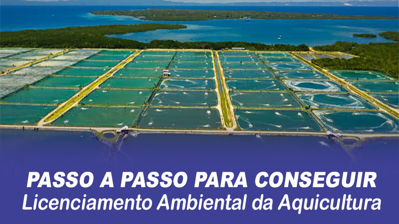 Passo a passo para conseguir Licenciamento Ambiental da Aquicultura