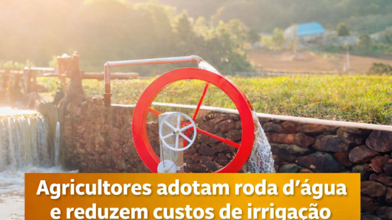 Agricultores adotam roda d’água e reduzem custos de irrigação