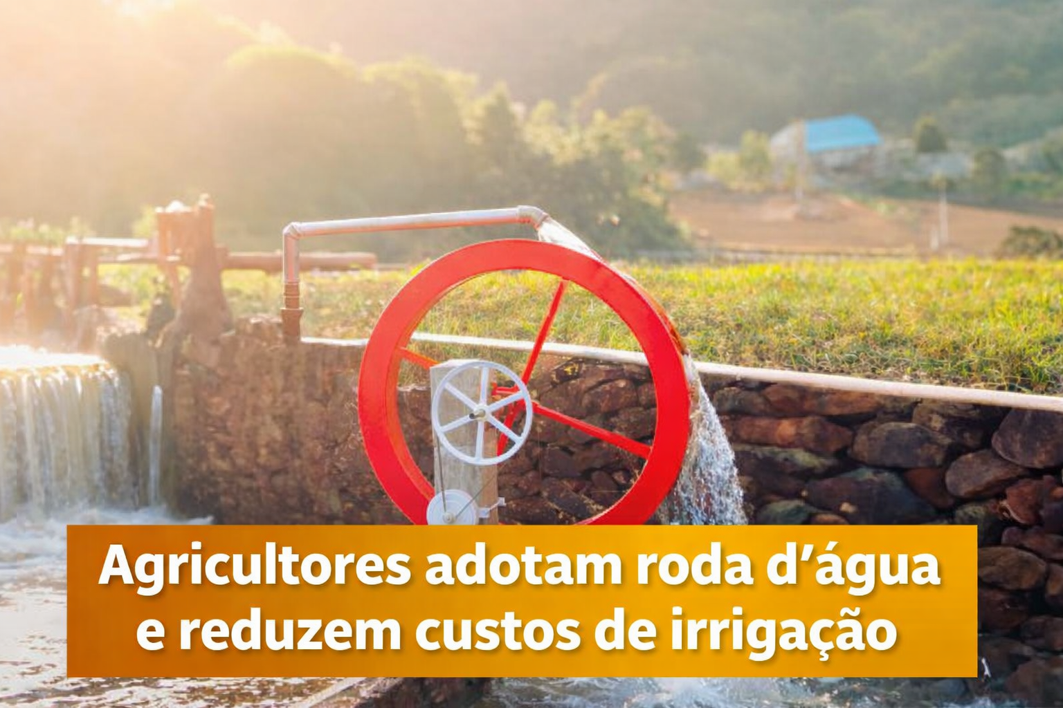 Agricultores adotam roda d’água e reduzem custos de irrigação
