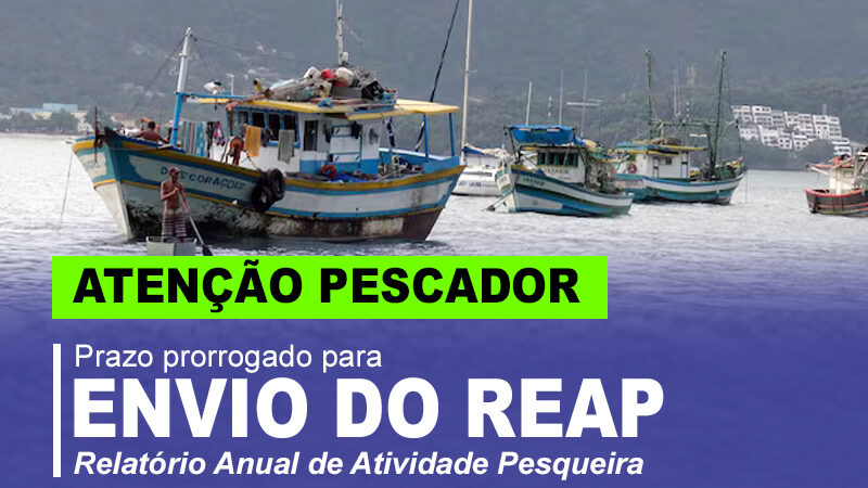 Prazo prorrogado para envio de REAP