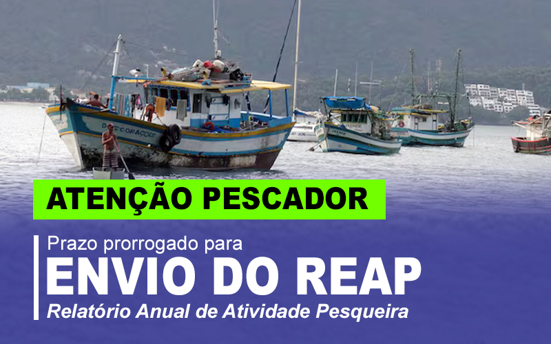 Prazo prorrogado para envio de REAP