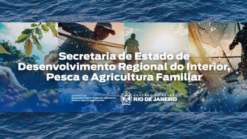 Conheça a Secretaria de Desenvolvimento Regional do Interior, Pesca e Agricultura Familiar (SEDIPAF)