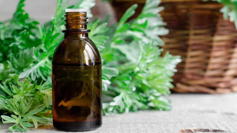 Com esses ingredientes caseiros, você pode preparar o inseticida orgânico mais potente para sua horta
