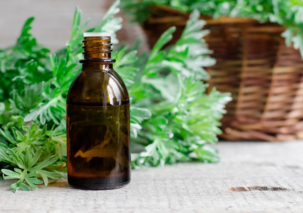 Com esses ingredientes caseiros, você pode preparar o inseticida orgânico mais potente para sua horta