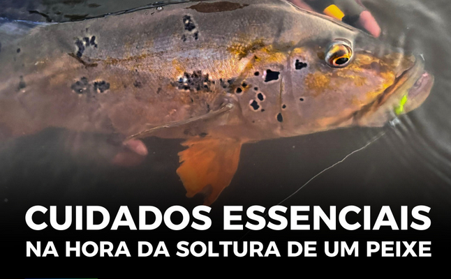 3 DICAS PARA SOLTAR O PEIXE DO ANZOL SEM PREJUDICA-LO