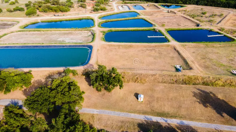 Aquicultura e recursos hídricos: Instituto de Pesca destaca importância da água para produção sustentável de alimentos