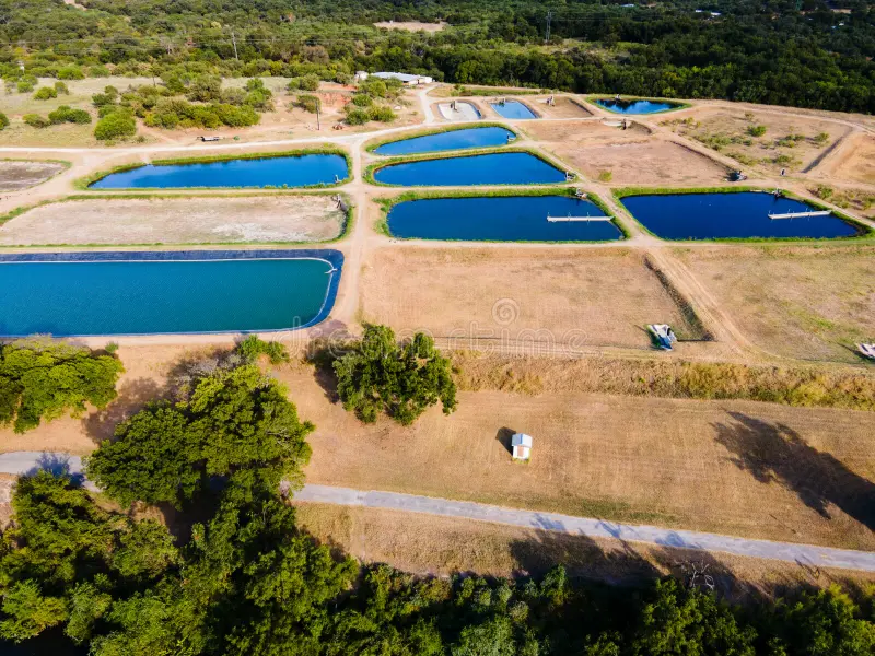 Aquicultura e recursos hídricos: Instituto de Pesca destaca importância da água para produção sustentável de alimentos