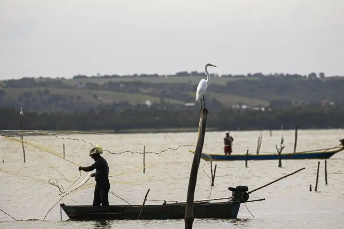 Seguro-defeso: sexto lote paga R$ 179,7 milhões a mais de 110 mil pescadores