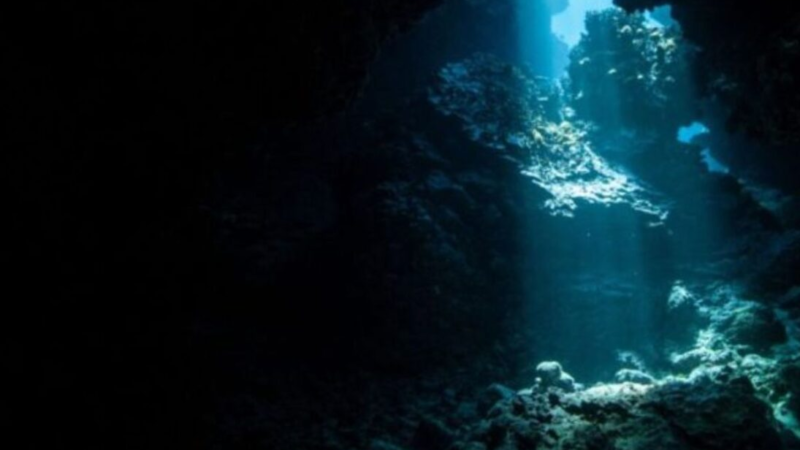 Escurecimento dos oceanos: nova e silenciosa ameaça ao planeta