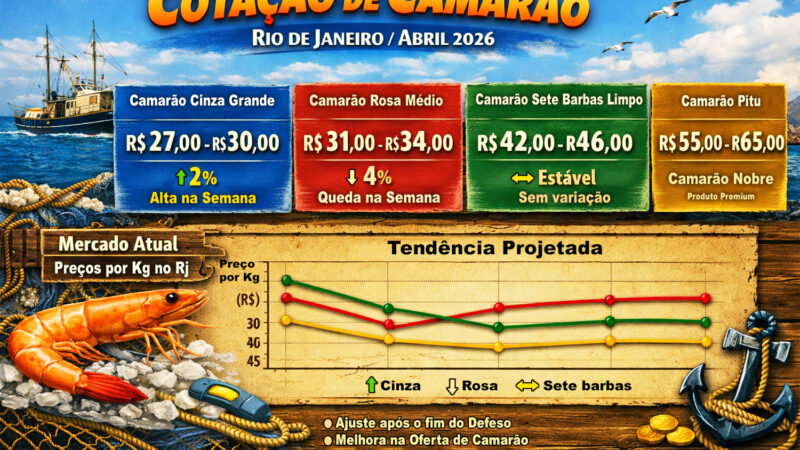 Cotação de camarão para o mês de Abril/2026
