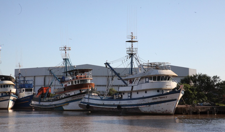MPA reforça prazos para certificação sanitária obrigatória a bordo