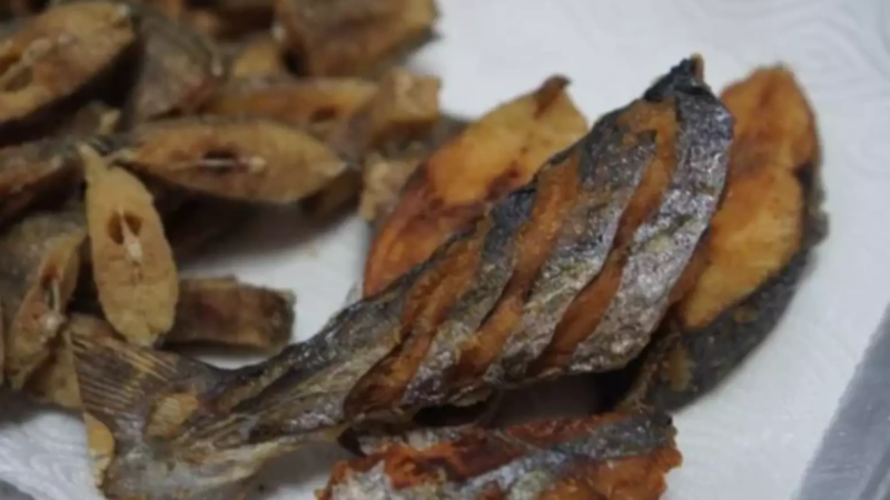 O peixe mais saudável do mundo (que raramente comemos) fortalece o coração e aumenta a imunidade