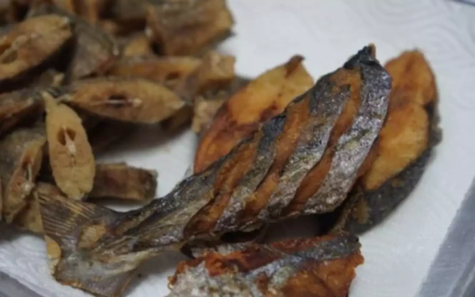 O peixe mais saudável do mundo (que raramente comemos) fortalece o coração e aumenta a imunidade