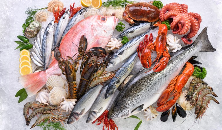MPA e MAPA definem Nota Fiscal do Pescado como documento oficial de origem do pescado