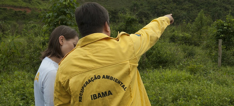 Plataforma com dados de recuperação ambiental auxilia o Brasil a cumprir metas internacionais