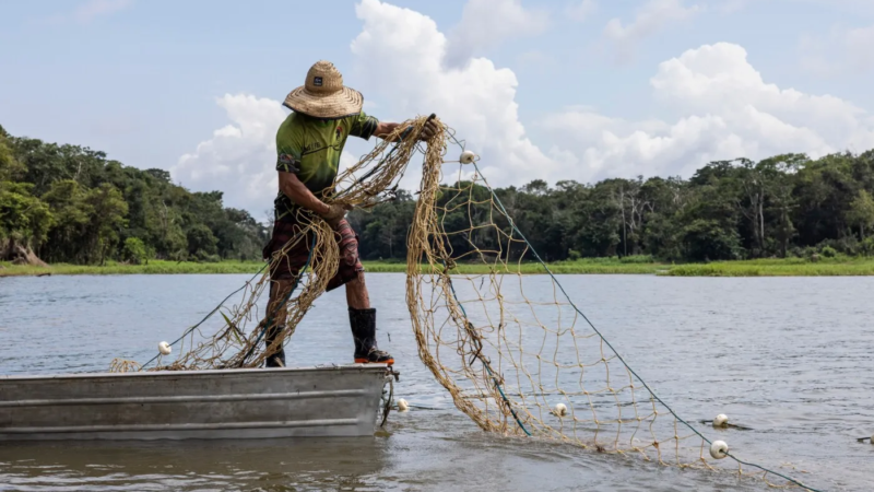 Novo marco regulatório da pesca amplia regras de rastreabilidade e controle da atividade no Brasil
