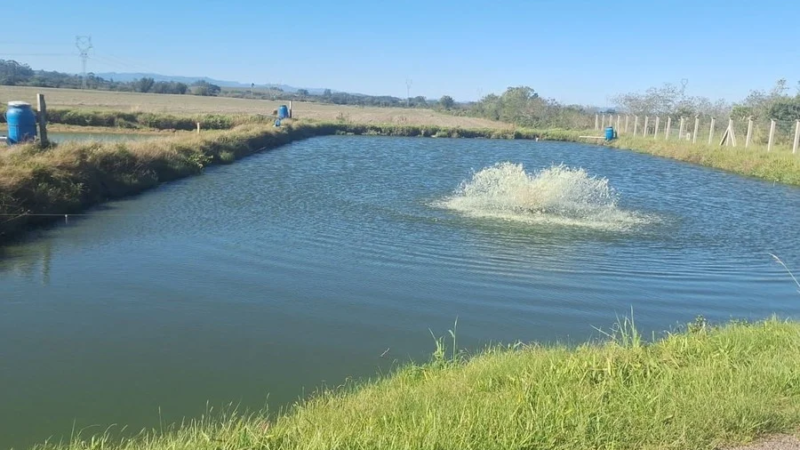 Manejo adequado no inverno é decisivo para manter produção de peixes