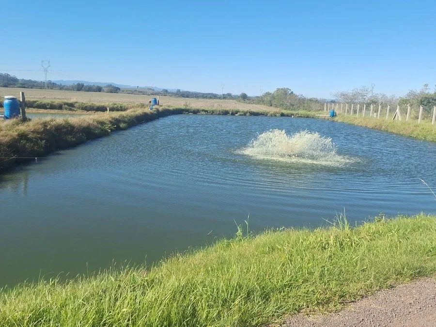 Manejo adequado no inverno é decisivo para manter produção de peixes