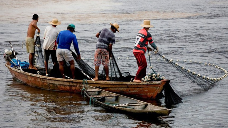Sancionada Semana Nacional de Promoção da Pesca Artesanal