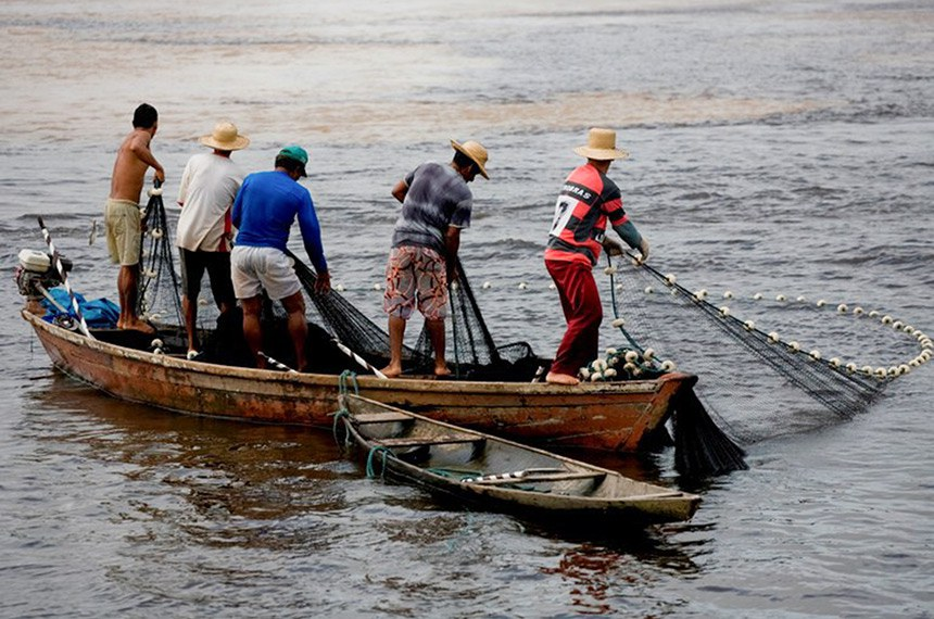 Sancionada Semana Nacional de Promoção da Pesca Artesanal